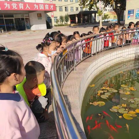 金色秋天，相伴美好年华——实验小学一年级四班精彩瞬间