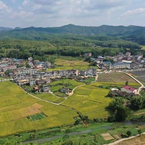 【牢记新嘱托、增创新优势、再上新台阶】济村乡锚定目标 实干笃行 扎实推进“三新”活动落地见效