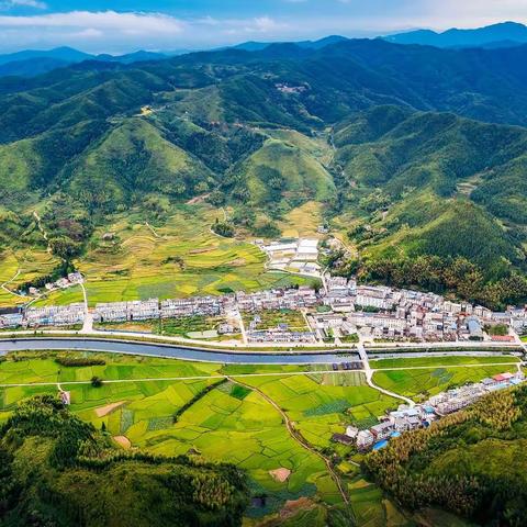 干群齐心 扮靓济村 | 济村乡开展节前环境卫生整治活动