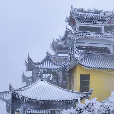 济村乡：防寒抗冻保民生，干群合力暖人心