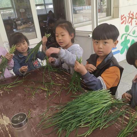 迎五一，劳动最光荣             ——北下苇小学一年级包饺子活动记录