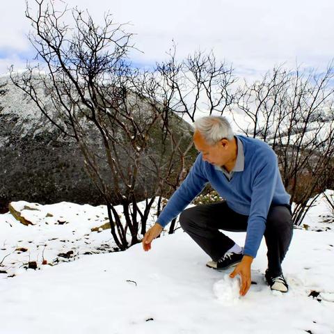 旅途雪影（副本）