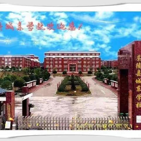 城东学校小学部“双减背景下，数学学生活动”