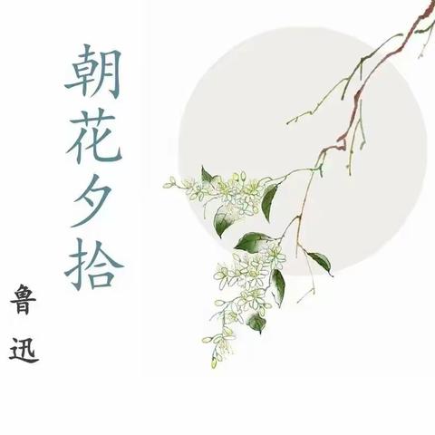 七五、七六优秀读书笔记展示