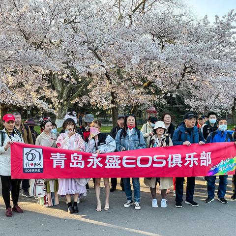 🌸🌺  樱花＆模特  🌺🌸