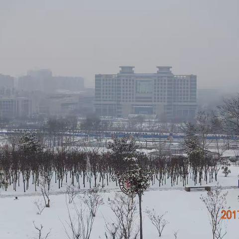 20170222皑雪初试大法～～