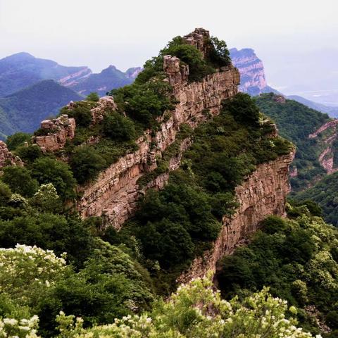 夏游黎城