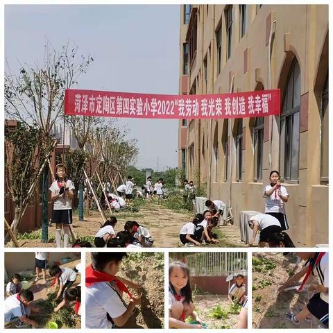 我劳动 我光荣 我创造  我幸福---四年级实践活动小记