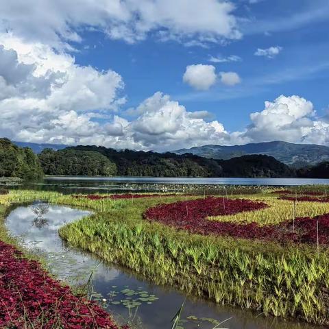 游勐梭龙潭有感