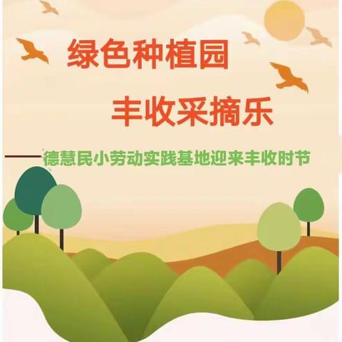 【德慧民小.劳动教育】绿色种植园，丰收采摘乐——德慧民小劳动实践基地迎来丰收时节