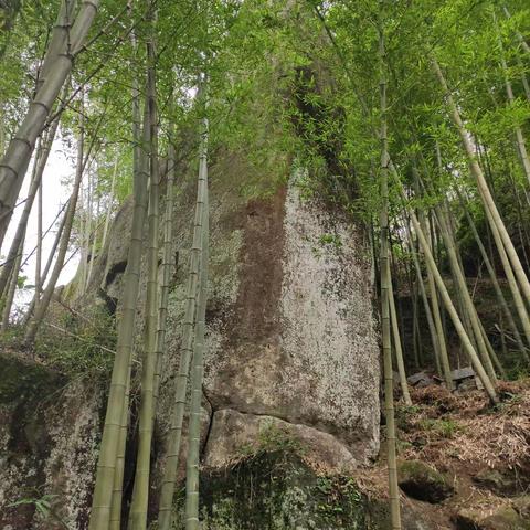 教师节随感