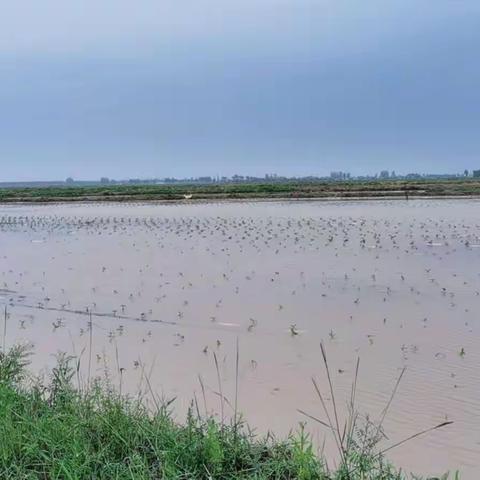 闻“雨”而动，复兴镇积极排查雨灾隐患，开展救灾工作