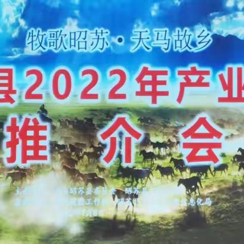 栽下梧桐树，引得凤凰来——新疆昭苏县举行2022年产业项目招商推介会