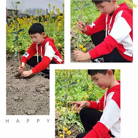 （课题动态23）【河之洲•力行篇】智趣养殖欢乐多——河洲小学课题实践活动之养植动植物篇