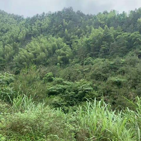 风光无限大水田，勤学苦练直超前