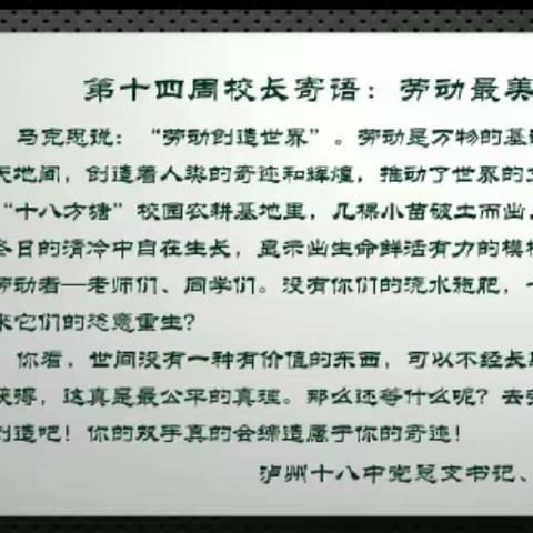 泸州十八中五年级2班第14周小结