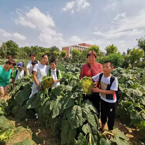 兰底小学4年级1班7.20暑假返校纪实