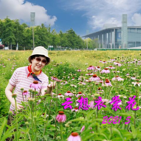 云想衣裳花想容