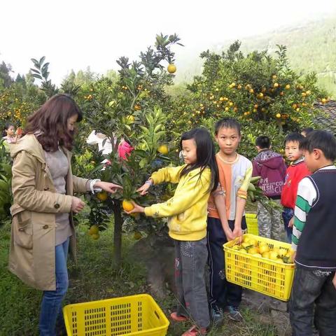 劳动立人筑灵魂  信息技术添新力                   土鲤小学