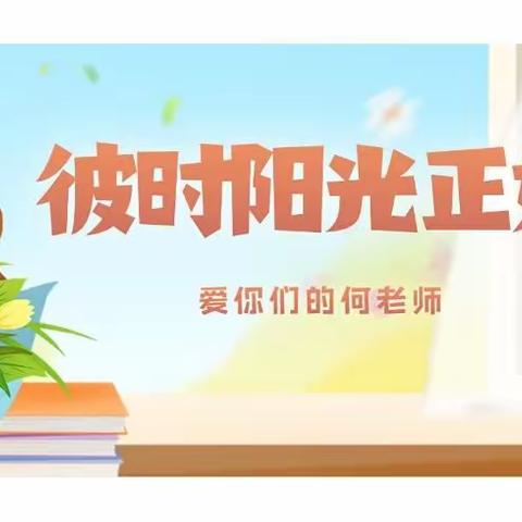 彼时阳光正好——爱你们的何老师