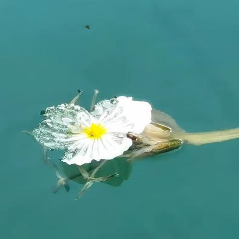 神秘女儿国——泸沽湖游