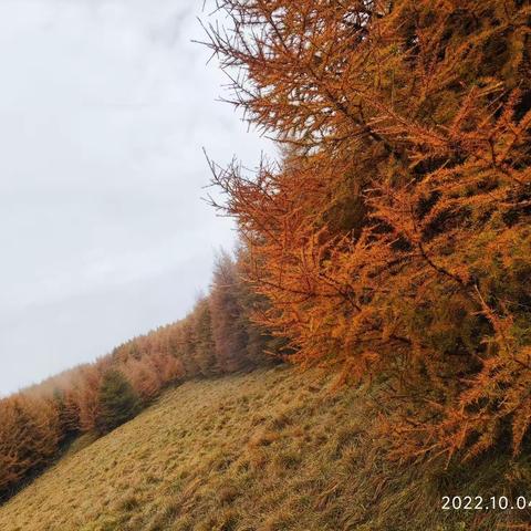 【太岳之巅—红崖峡谷】