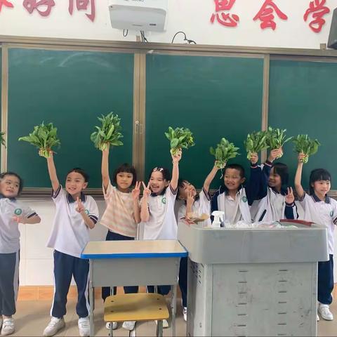 春末夏至，丰收而至—记落笔小学一年级2班小菜园时光完美收获