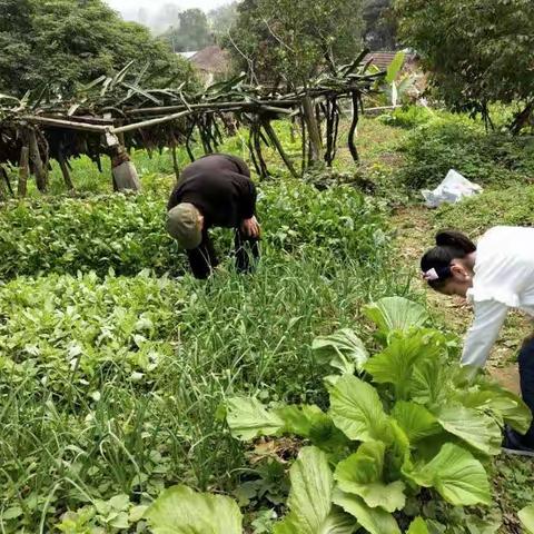 在南宁过春节！