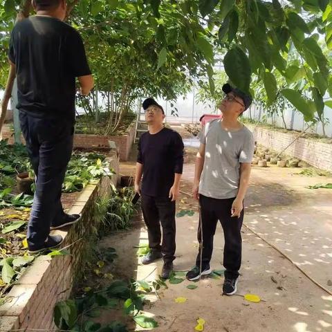 在希望的田野，参与劳作，享受成果，继续拓荒