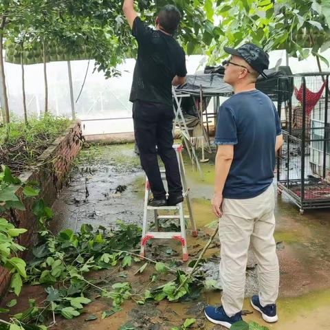 深入田间技术指导