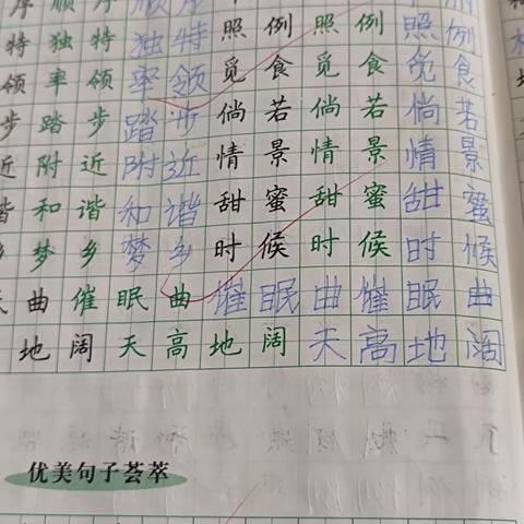 梁寨小学双减下的“墨香校园”硬笔字