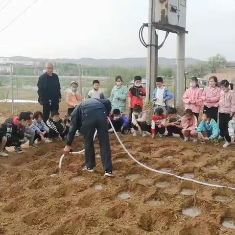 北诗中心小学“快乐劳动”系列之一——播种季