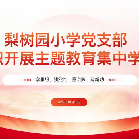 梨树园小学党支部组织开展主题教育集中学习