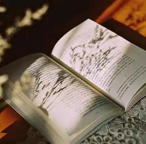 [新教育·共读共写]李店中心小学张玉霞：凤凰文章五云毫    留于韶华度春宵