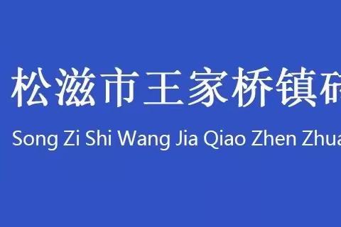 勠力同心再出发——砖桥小学开展2021年暑期师德师风集中教育周活动