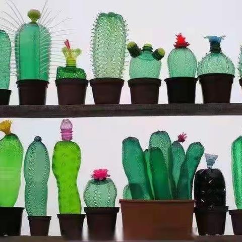 小三班画展“我的仙人掌🌵”