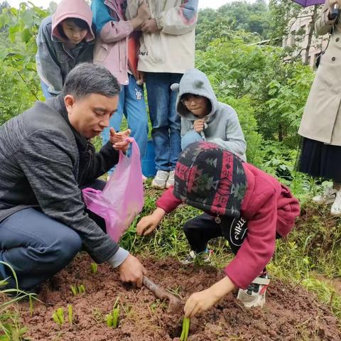 【劳动教育成就美好未来】——赐山校区劳动教育实践活动纪实