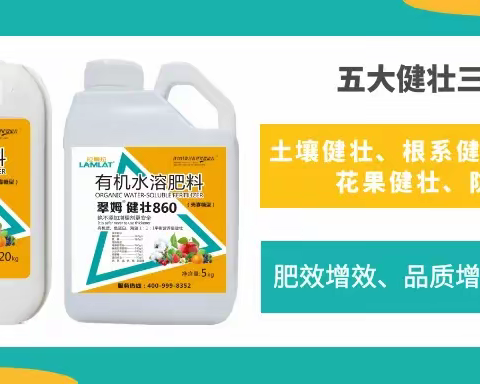 聚焦云南市场，打造特肥爆品——拉姆拉健壮860