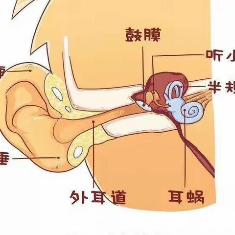 爱耳护耳 快乐成长——富源街道第四小学幼儿园2023年3月3日全国“爱耳日”主题教育活动