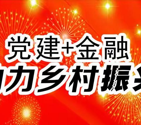 前郭柳村 党建+金融 0317