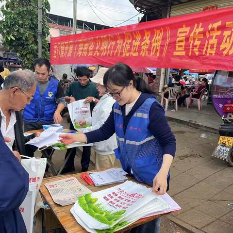 龙门镇开展“学习海南省文明行为促进条例 争做文明定安人”志愿服务活动