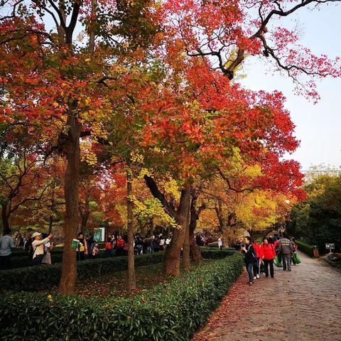 明孝陵石像路