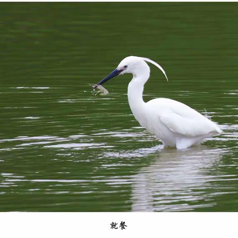 游杭州湾国家湿地公园