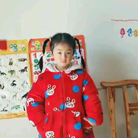 阳光燕子幼儿园大班在线课程