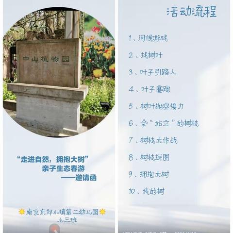 Teresa的美篇