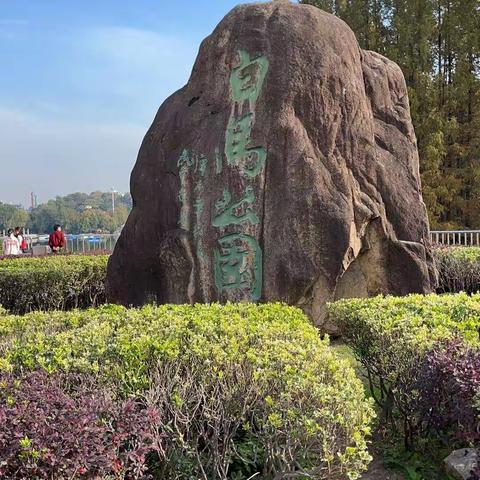 小手拉大手，环保登山行