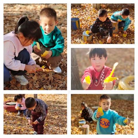 阿勒泰市拉斯特乡中心幼儿园“畅玩金秋🍁玩转落叶”系列活动