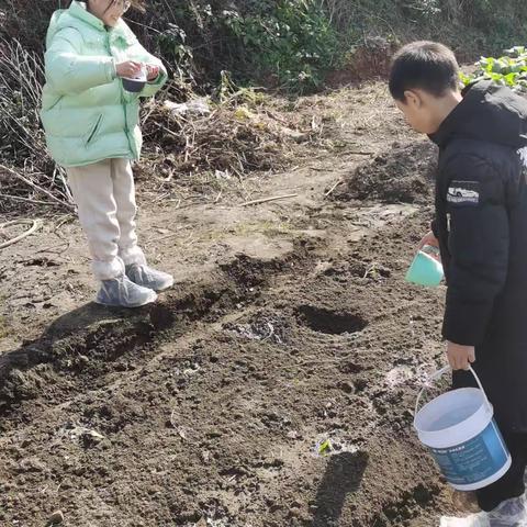 体验农耕文化，感受劳动乐趣--巨化三小六（4）班一组