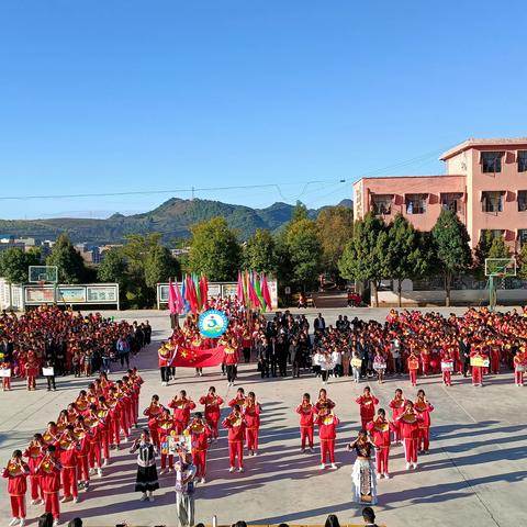 新店乡中心学校小学党支部“乐享运动促健康，齐心聚力展风采”支部主题党日活动