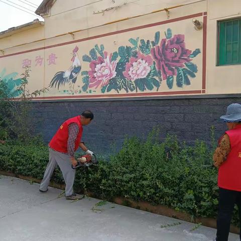 修剪绿化树 西牛泉志愿者在行动